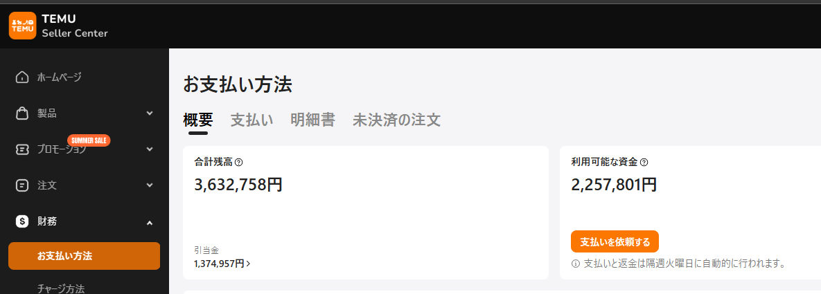 TEMU売れる